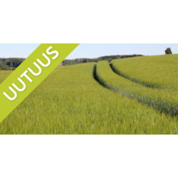 KWS Thalis ohra peitattu 600 kg KWS Thalis ohra peitattu 600 kg