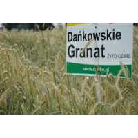 Dankowskie Granat ruis peitattu 600 kg
